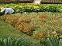 DSCF0039.JPG