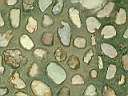 DSCF0056.JPG