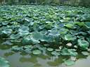 DSCF0057.JPG