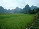 DSCF0056.JPG